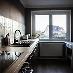 Grosses Schwarze Moewe Nahe Ueckermuende