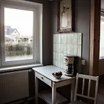 Grosses Schwarze Moewe Nahe Ueckermuende Semesterbostad