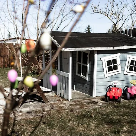 Grosses Schwarze Moewe Nahe Ueckermuende Grambin