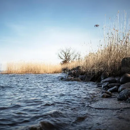 Grosses Schwarze Moewe Nahe Ueckermuende 度假居