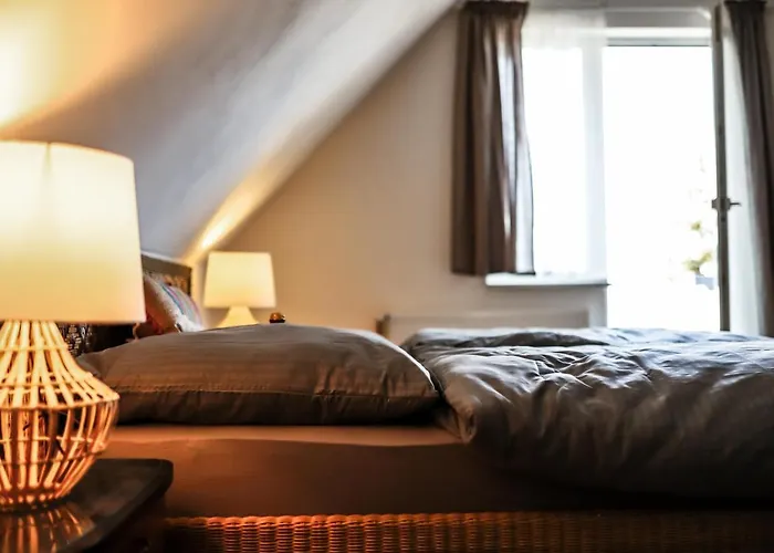 Grosses Schwarze Moewe Nahe Ueckermuende Casa vacanze Grambin