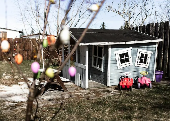 Grosses Schwarze Moewe Nahe Ueckermuende Grambin