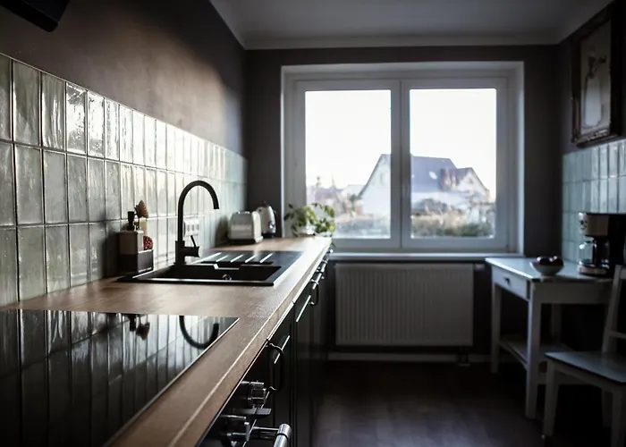 Grosses Schwarze Moewe Nahe Ueckermuende