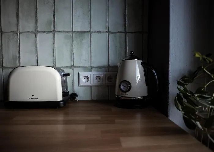 Grosses Schwarze Moewe Nahe Ueckermuende *