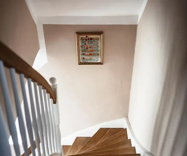 Grosses Schwarze Moewe Nahe Ueckermuende Casa vacanze Grambin