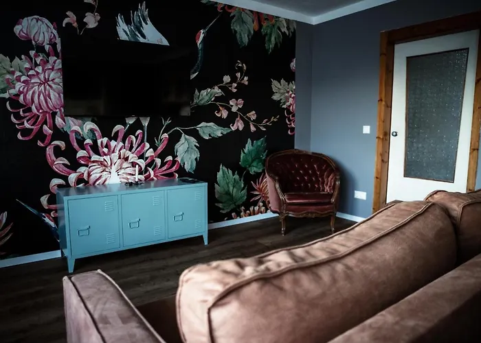 Grosses Schwarze Moewe Nahe Ueckermuende Casa vacanze