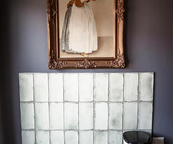 Grosses Schwarze Moewe Nahe Ueckermuende Casa vacanze Grambin