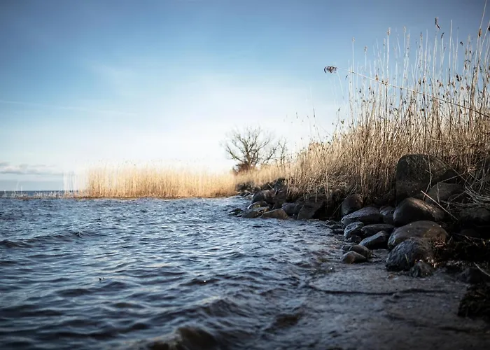 Grosses Schwarze Moewe Nahe Ueckermuende Casa vacanze