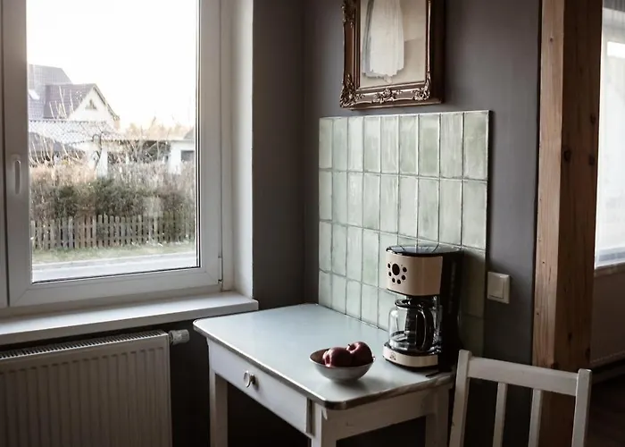 Grosses Schwarze Moewe Nahe Ueckermuende Casa vacanze