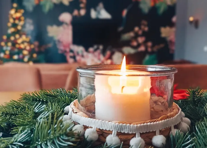 Grosses Schwarze Moewe Nahe Ueckermuende Casa vacanze Grambin